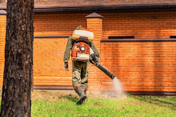 Bed Bug Clearance Verification and Documentation in Piney